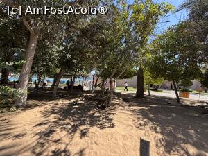 [P45] Abu Dhabi,Heritage Village » foto by AZE
 - 
<span class="allrVoted glyphicon glyphicon-heart hidden" id="av1488135"></span>
<a class="m-l-10 hidden" id="sv1488135" onclick="voting_Foto_DelVot(,1488135,3202)" role="button">șterge vot <span class="glyphicon glyphicon-remove"></span></a>
<a id="v91488135" class=" c-red"  onclick="voting_Foto_SetVot(1488135)" role="button"><span class="glyphicon glyphicon-heart-empty"></span> <b>LIKE</b> = Votează poza</a> <img class="hidden"  id="f1488135W9" src="/imagini/loader.gif" border="0" /><span class="AjErrMes hidden" id="e1488135ErM"></span>