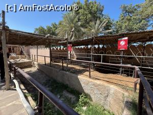 [P12] Heritage Village Abu Dhabi,sistem de irigare » foto by AZE
 - 
<span class="allrVoted glyphicon glyphicon-heart hidden" id="av1490268"></span>
<a class="m-l-10 hidden" id="sv1490268" onclick="voting_Foto_DelVot(,1490268,3202)" role="button">șterge vot <span class="glyphicon glyphicon-remove"></span></a>
<a id="v91490268" class=" c-red"  onclick="voting_Foto_SetVot(1490268)" role="button"><span class="glyphicon glyphicon-heart-empty"></span> <b>LIKE</b> = Votează poza</a> <img class="hidden"  id="f1490268W9" src="/imagini/loader.gif" border="0" /><span class="AjErrMes hidden" id="e1490268ErM"></span>
