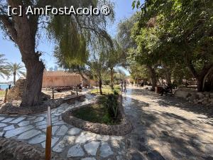 [P14] Heritage Village Abu Dhabi » foto by AZE
 - 
<span class="allrVoted glyphicon glyphicon-heart hidden" id="av1490270"></span>
<a class="m-l-10 hidden" id="sv1490270" onclick="voting_Foto_DelVot(,1490270,3202)" role="button">șterge vot <span class="glyphicon glyphicon-remove"></span></a>
<a id="v91490270" class=" c-red"  onclick="voting_Foto_SetVot(1490270)" role="button"><span class="glyphicon glyphicon-heart-empty"></span> <b>LIKE</b> = Votează poza</a> <img class="hidden"  id="f1490270W9" src="/imagini/loader.gif" border="0" /><span class="AjErrMes hidden" id="e1490270ErM"></span>