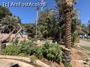 [P09] Heritage Village Abu Dhabi » foto by AZE
 - 
<span class="allrVoted glyphicon glyphicon-heart hidden" id="av1490265"></span>
<a class="m-l-10 hidden" id="sv1490265" onclick="voting_Foto_DelVot(,1490265,3202)" role="button">șterge vot <span class="glyphicon glyphicon-remove"></span></a>
<a id="v91490265" class=" c-red"  onclick="voting_Foto_SetVot(1490265)" role="button"><span class="glyphicon glyphicon-heart-empty"></span> <b>LIKE</b> = Votează poza</a> <img class="hidden"  id="f1490265W9" src="/imagini/loader.gif" border="0" /><span class="AjErrMes hidden" id="e1490265ErM"></span>