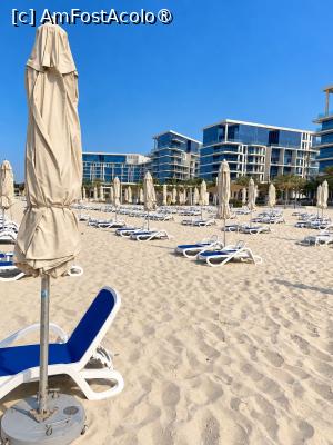 [P34] Soul Beach » foto by elenaadina
 - 
<span class="allrVoted glyphicon glyphicon-heart hidden" id="av1548838"></span>
<a class="m-l-10 hidden" id="sv1548838" onclick="voting_Foto_DelVot(,1548838,3202)" role="button">șterge vot <span class="glyphicon glyphicon-remove"></span></a>
<a id="v91548838" class=" c-red"  onclick="voting_Foto_SetVot(1548838)" role="button"><span class="glyphicon glyphicon-heart-empty"></span> <b>LIKE</b> = Votează poza</a> <img class="hidden"  id="f1548838W9" src="/imagini/loader.gif" border="0" /><span class="AjErrMes hidden" id="e1548838ErM"></span>