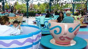 [P09] Mad Hatter's Tea Cups » foto by viorel gherlan
 - 
<span class="allrVoted glyphicon glyphicon-heart hidden" id="av529473"></span>
<a class="m-l-10 hidden" id="sv529473" onclick="voting_Foto_DelVot(,529473,3203)" role="button">șterge vot <span class="glyphicon glyphicon-remove"></span></a>
<a id="v9529473" class=" c-red"  onclick="voting_Foto_SetVot(529473)" role="button"><span class="glyphicon glyphicon-heart-empty"></span> <b>LIKE</b> = Votează poza</a> <img class="hidden"  id="f529473W9" src="/imagini/loader.gif" border="0" /><span class="AjErrMes hidden" id="e529473ErM"></span>