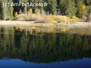 P06 [OCT-2014] Apa liniştită a lacului
