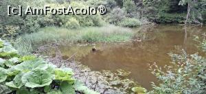 [P10] Lacul Rosu - Plimbare in jurul lacului. » foto by iulianic
 - 
<span class="allrVoted glyphicon glyphicon-heart hidden" id="av1538291"></span>
<a class="m-l-10 hidden" id="sv1538291" onclick="voting_Foto_DelVot(,1538291,3314)" role="button">șterge vot <span class="glyphicon glyphicon-remove"></span></a>
<a id="v91538291" class=" c-red"  onclick="voting_Foto_SetVot(1538291)" role="button"><span class="glyphicon glyphicon-heart-empty"></span> <b>LIKE</b> = Votează poza</a> <img class="hidden"  id="f1538291W9" src="/imagini/loader.gif" border="0" /><span class="AjErrMes hidden" id="e1538291ErM"></span>