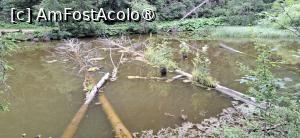 [P14] Lacul Rosu - Plimbare in jurul lacului. » foto by iulianic
 - 
<span class="allrVoted glyphicon glyphicon-heart hidden" id="av1538295"></span>
<a class="m-l-10 hidden" id="sv1538295" onclick="voting_Foto_DelVot(,1538295,3314)" role="button">șterge vot <span class="glyphicon glyphicon-remove"></span></a>
<a id="v91538295" class=" c-red"  onclick="voting_Foto_SetVot(1538295)" role="button"><span class="glyphicon glyphicon-heart-empty"></span> <b>LIKE</b> = Votează poza</a> <img class="hidden"  id="f1538295W9" src="/imagini/loader.gif" border="0" /><span class="AjErrMes hidden" id="e1538295ErM"></span>