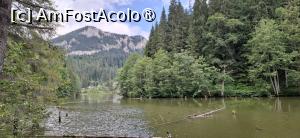 [P04] Lacul Rosu - Plimbare in jurul lacului. » foto by iulianic
 - 
<span class="allrVoted glyphicon glyphicon-heart hidden" id="av1538285"></span>
<a class="m-l-10 hidden" id="sv1538285" onclick="voting_Foto_DelVot(,1538285,3314)" role="button">șterge vot <span class="glyphicon glyphicon-remove"></span></a>
<a id="v91538285" class=" c-red"  onclick="voting_Foto_SetVot(1538285)" role="button"><span class="glyphicon glyphicon-heart-empty"></span> <b>LIKE</b> = Votează poza</a> <img class="hidden"  id="f1538285W9" src="/imagini/loader.gif" border="0" /><span class="AjErrMes hidden" id="e1538285ErM"></span>