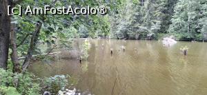 [P08] Lacul Rosu - Plimbare in jurul lacului. » foto by iulianic
 - 
<span class="allrVoted glyphicon glyphicon-heart hidden" id="av1538289"></span>
<a class="m-l-10 hidden" id="sv1538289" onclick="voting_Foto_DelVot(,1538289,3314)" role="button">șterge vot <span class="glyphicon glyphicon-remove"></span></a>
<a id="v91538289" class=" c-red"  onclick="voting_Foto_SetVot(1538289)" role="button"><span class="glyphicon glyphicon-heart-empty"></span> <b>LIKE</b> = Votează poza</a> <img class="hidden"  id="f1538289W9" src="/imagini/loader.gif" border="0" /><span class="AjErrMes hidden" id="e1538289ErM"></span>