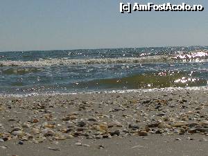 [P12] ...  » foto by george_bton*
 - 
<span class="allrVoted glyphicon glyphicon-heart hidden" id="av362359"></span>
<a class="m-l-10 hidden" id="sv362359" onclick="voting_Foto_DelVot(,362359,3329)" role="button">șterge vot <span class="glyphicon glyphicon-remove"></span></a>
<a id="v9362359" class=" c-red"  onclick="voting_Foto_SetVot(362359)" role="button"><span class="glyphicon glyphicon-heart-empty"></span> <b>LIKE</b> = Votează poza</a> <img class="hidden"  id="f362359W9" src="/imagini/loader.gif" border="0" /><span class="AjErrMes hidden" id="e362359ErM"></span>