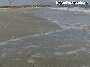 [P06]  -- <small>// FĂRĂ DESCRIERE</small> » foto by george_bton*
 - 
<span class="allrVoted glyphicon glyphicon-heart hidden" id="av362343"></span>
<a class="m-l-10 hidden" id="sv362343" onclick="voting_Foto_DelVot(,362343,3329)" role="button">șterge vot <span class="glyphicon glyphicon-remove"></span></a>
<a id="v9362343" class=" c-red"  onclick="voting_Foto_SetVot(362343)" role="button"><span class="glyphicon glyphicon-heart-empty"></span> <b>LIKE</b> = Votează poza</a> <img class="hidden"  id="f362343W9" src="/imagini/loader.gif" border="0" /><span class="AjErrMes hidden" id="e362343ErM"></span>