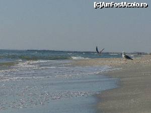 [P08] Zbooor!!!  » foto by george_bton*
 - 
<span class="allrVoted glyphicon glyphicon-heart hidden" id="av362345"></span>
<a class="m-l-10 hidden" id="sv362345" onclick="voting_Foto_DelVot(,362345,3329)" role="button">șterge vot <span class="glyphicon glyphicon-remove"></span></a>
<a id="v9362345" class=" c-red"  onclick="voting_Foto_SetVot(362345)" role="button"><span class="glyphicon glyphicon-heart-empty"></span> <b>LIKE</b> = Votează poza</a> <img class="hidden"  id="f362345W9" src="/imagini/loader.gif" border="0" /><span class="AjErrMes hidden" id="e362345ErM"></span>