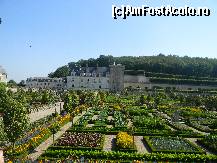 P11 [AUG-2012] Castelul Villandry - grădina de legume perfect organizată. 