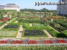 P16 [AUG-2012] Castelul Villandry - grădina de legume - un rezultat spectaculos dat de combinația de flori și legume. 