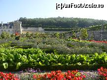 P07 [AUG-2012] Castelul Villandry - grădina de legume ce își are originea în Evul Mediu. 