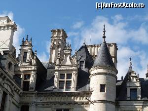 P15 [SEP-2012] Castelul Chenonceau, detaliu acoperis