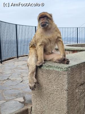 [P17]  -- <small>// FĂRĂ DESCRIERE</small> » foto by Maya_C
 - 
<span class="allrVoted glyphicon glyphicon-heart hidden" id="av1507245"></span>
<a class="m-l-10 hidden" id="sv1507245" onclick="voting_Foto_DelVot(,1507245,3397)" role="button">șterge vot <span class="glyphicon glyphicon-remove"></span></a>
<a id="v91507245" class=" c-red"  onclick="voting_Foto_SetVot(1507245)" role="button"><span class="glyphicon glyphicon-heart-empty"></span> <b>LIKE</b> = Votează poza</a> <img class="hidden"  id="f1507245W9" src="/imagini/loader.gif" border="0" /><span class="AjErrMes hidden" id="e1507245ErM"></span>