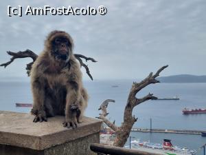 [P18]  -- <small>// FĂRĂ DESCRIERE</small> » foto by Maya_C
 - 
<span class="allrVoted glyphicon glyphicon-heart hidden" id="av1507246"></span>
<a class="m-l-10 hidden" id="sv1507246" onclick="voting_Foto_DelVot(,1507246,3397)" role="button">șterge vot <span class="glyphicon glyphicon-remove"></span></a>
<a id="v91507246" class=" c-red"  onclick="voting_Foto_SetVot(1507246)" role="button"><span class="glyphicon glyphicon-heart-empty"></span> <b>LIKE</b> = Votează poza</a> <img class="hidden"  id="f1507246W9" src="/imagini/loader.gif" border="0" /><span class="AjErrMes hidden" id="e1507246ErM"></span>