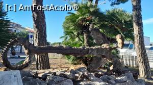 [P37] Le Grau du Roi, o ancora veche » foto by Yolanda
 - 
<span class="allrVoted glyphicon glyphicon-heart hidden" id="av1503388"></span>
<a class="m-l-10 hidden" id="sv1503388" onclick="voting_Foto_DelVot(,1503388,3404)" role="button">șterge vot <span class="glyphicon glyphicon-remove"></span></a>
<a id="v91503388" class=" c-red"  onclick="voting_Foto_SetVot(1503388)" role="button"><span class="glyphicon glyphicon-heart-empty"></span> <b>LIKE</b> = Votează poza</a> <img class="hidden"  id="f1503388W9" src="/imagini/loader.gif" border="0" /><span class="AjErrMes hidden" id="e1503388ErM"></span>