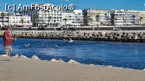 [P44] Le Grau du Roi, sunt si pescari amatori » foto by Yolanda
 - 
<span class="allrVoted glyphicon glyphicon-heart hidden" id="av1503395"></span>
<a class="m-l-10 hidden" id="sv1503395" onclick="voting_Foto_DelVot(,1503395,3404)" role="button">șterge vot <span class="glyphicon glyphicon-remove"></span></a>
<a id="v91503395" class=" c-red"  onclick="voting_Foto_SetVot(1503395)" role="button"><span class="glyphicon glyphicon-heart-empty"></span> <b>LIKE</b> = Votează poza</a> <img class="hidden"  id="f1503395W9" src="/imagini/loader.gif" border="0" /><span class="AjErrMes hidden" id="e1503395ErM"></span>