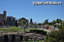 [P22] Vedere din Colosseum catre Via dei Fori Imperiali » foto by Muffin2009
 - 
<span class="allrVoted glyphicon glyphicon-heart hidden" id="av325013"></span>
<a class="m-l-10 hidden" id="sv325013" onclick="voting_Foto_DelVot(,325013,3406)" role="button">șterge vot <span class="glyphicon glyphicon-remove"></span></a>
<a id="v9325013" class=" c-red"  onclick="voting_Foto_SetVot(325013)" role="button"><span class="glyphicon glyphicon-heart-empty"></span> <b>LIKE</b> = Votează poza</a> <img class="hidden"  id="f325013W9" src="/imagini/loader.gif" border="0" /><span class="AjErrMes hidden" id="e325013ErM"></span>