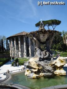 [P11] Roma - Fontana dei Tritoni din Piazza Bocca dela Verita; in spate Templul lui Hercule » foto by Diaura*
 - 
<span class="allrVoted glyphicon glyphicon-heart hidden" id="av311476"></span>
<a class="m-l-10 hidden" id="sv311476" onclick="voting_Foto_DelVot(,311476,3406)" role="button">șterge vot <span class="glyphicon glyphicon-remove"></span></a>
<a id="v9311476" class=" c-red"  onclick="voting_Foto_SetVot(311476)" role="button"><span class="glyphicon glyphicon-heart-empty"></span> <b>LIKE</b> = Votează poza</a> <img class="hidden"  id="f311476W9" src="/imagini/loader.gif" border="0" /><span class="AjErrMes hidden" id="e311476ErM"></span>