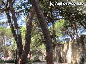 [P30] Prin curtea castelului Sao Jorge » foto by bica adriana
 - 
<span class="allrVoted glyphicon glyphicon-heart hidden" id="av513544"></span>
<a class="m-l-10 hidden" id="sv513544" onclick="voting_Foto_DelVot(,513544,3414)" role="button">șterge vot <span class="glyphicon glyphicon-remove"></span></a>
<a id="v9513544" class=" c-red"  onclick="voting_Foto_SetVot(513544)" role="button"><span class="glyphicon glyphicon-heart-empty"></span> <b>LIKE</b> = Votează poza</a> <img class="hidden"  id="f513544W9" src="/imagini/loader.gif" border="0" /><span class="AjErrMes hidden" id="e513544ErM"></span>