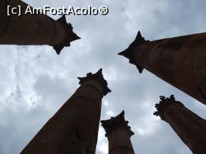 P31 [APR-2019] Jerash: coloane corintice de la Templul lui Artemis