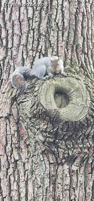 [P32] Parco del Valentino » foto by adso
 - 
<span class="allrVoted glyphicon glyphicon-heart hidden" id="av1545417"></span>
<a class="m-l-10 hidden" id="sv1545417" onclick="voting_Foto_DelVot(,1545417,3466)" role="button">șterge vot <span class="glyphicon glyphicon-remove"></span></a>
<a id="v91545417" class=" c-red"  onclick="voting_Foto_SetVot(1545417)" role="button"><span class="glyphicon glyphicon-heart-empty"></span> <b>LIKE</b> = Votează poza</a> <img class="hidden"  id="f1545417W9" src="/imagini/loader.gif" border="0" /><span class="AjErrMes hidden" id="e1545417ErM"></span>