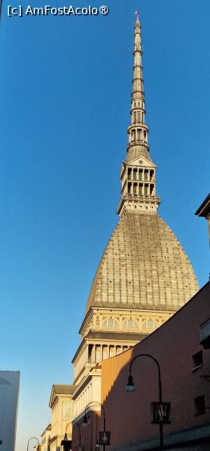 [P04]  Mole Antonelliana » foto by adso
 - 
<span class="allrVoted glyphicon glyphicon-heart hidden" id="av1545389"></span>
<a class="m-l-10 hidden" id="sv1545389" onclick="voting_Foto_DelVot(,1545389,3466)" role="button">șterge vot <span class="glyphicon glyphicon-remove"></span></a>
<a id="v91545389" class=" c-red"  onclick="voting_Foto_SetVot(1545389)" role="button"><span class="glyphicon glyphicon-heart-empty"></span> <b>LIKE</b> = Votează poza</a> <img class="hidden"  id="f1545389W9" src="/imagini/loader.gif" border="0" /><span class="AjErrMes hidden" id="e1545389ErM"></span>