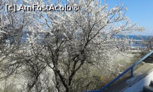 [P90] Plimbare prin Peninsulă » foto by adso
 - 
<span class="allrVoted glyphicon glyphicon-heart hidden" id="av1521643"></span>
<a class="m-l-10 hidden" id="sv1521643" onclick="voting_Foto_DelVot(,1521643,3496)" role="button">șterge vot <span class="glyphicon glyphicon-remove"></span></a>
<a id="v91521643" class=" c-red"  onclick="voting_Foto_SetVot(1521643)" role="button"><span class="glyphicon glyphicon-heart-empty"></span> <b>LIKE</b> = Votează poza</a> <img class="hidden"  id="f1521643W9" src="/imagini/loader.gif" border="0" /><span class="AjErrMes hidden" id="e1521643ErM"></span>