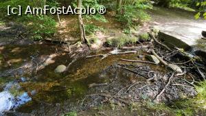 [P06] MTB-Tours Hareskoven, pe traseu » foto by Dragoș_MD
 - 
<span class="allrVoted glyphicon glyphicon-heart hidden" id="av1507510"></span>
<a class="m-l-10 hidden" id="sv1507510" onclick="voting_Foto_DelVot(,1507510,3497)" role="button">șterge vot <span class="glyphicon glyphicon-remove"></span></a>
<a id="v91507510" class=" c-red"  onclick="voting_Foto_SetVot(1507510)" role="button"><span class="glyphicon glyphicon-heart-empty"></span> <b>LIKE</b> = Votează poza</a> <img class="hidden"  id="f1507510W9" src="/imagini/loader.gif" border="0" /><span class="AjErrMes hidden" id="e1507510ErM"></span>