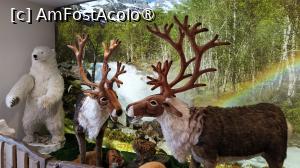 [P23] La pas prin Trondheim » foto by elenaadina
 - 
<span class="allrVoted glyphicon glyphicon-heart hidden" id="av1513096"></span>
<a class="m-l-10 hidden" id="sv1513096" onclick="voting_Foto_DelVot(,1513096,3499)" role="button">șterge vot <span class="glyphicon glyphicon-remove"></span></a>
<a id="v91513096" class=" c-red"  onclick="voting_Foto_SetVot(1513096)" role="button"><span class="glyphicon glyphicon-heart-empty"></span> <b>LIKE</b> = Votează poza</a> <img class="hidden"  id="f1513096W9" src="/imagini/loader.gif" border="0" /><span class="AjErrMes hidden" id="e1513096ErM"></span>