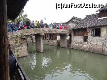 [P16] Pod pietruit, fiecare avand se pare povestioara lui...  » foto by Marian Preda
 - 
<span class="allrVoted glyphicon glyphicon-heart hidden" id="av351030"></span>
<a class="m-l-10 hidden" id="sv351030" onclick="voting_Foto_DelVot(,351030,3501)" role="button">șterge vot <span class="glyphicon glyphicon-remove"></span></a>
<a id="v9351030" class=" c-red"  onclick="voting_Foto_SetVot(351030)" role="button"><span class="glyphicon glyphicon-heart-empty"></span> <b>LIKE</b> = Votează poza</a> <img class="hidden"  id="f351030W9" src="/imagini/loader.gif" border="0" /><span class="AjErrMes hidden" id="e351030ErM"></span>