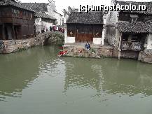 [P22] Comunitatea isi vede de treburile cotidiene...  » foto by Marian Preda
 - 
<span class="allrVoted glyphicon glyphicon-heart hidden" id="av351036"></span>
<a class="m-l-10 hidden" id="sv351036" onclick="voting_Foto_DelVot(,351036,3501)" role="button">șterge vot <span class="glyphicon glyphicon-remove"></span></a>
<a id="v9351036" class=" c-red"  onclick="voting_Foto_SetVot(351036)" role="button"><span class="glyphicon glyphicon-heart-empty"></span> <b>LIKE</b> = Votează poza</a> <img class="hidden"  id="f351036W9" src="/imagini/loader.gif" border="0" /><span class="AjErrMes hidden" id="e351036ErM"></span>