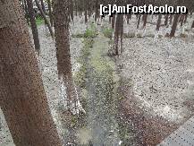 [P54]  -- <small>// FĂRĂ DESCRIERE</small> » foto by Marian Preda
 - 
<span class="allrVoted glyphicon glyphicon-heart hidden" id="av351072"></span>
<a class="m-l-10 hidden" id="sv351072" onclick="voting_Foto_DelVot(,351072,3501)" role="button">șterge vot <span class="glyphicon glyphicon-remove"></span></a>
<a id="v9351072" class=" c-red"  onclick="voting_Foto_SetVot(351072)" role="button"><span class="glyphicon glyphicon-heart-empty"></span> <b>LIKE</b> = Votează poza</a> <img class="hidden"  id="f351072W9" src="/imagini/loader.gif" border="0" /><span class="AjErrMes hidden" id="e351072ErM"></span>