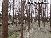 [P55]  -- <small>// FĂRĂ DESCRIERE</small> » foto by Marian Preda
 - 
<span class="allrVoted glyphicon glyphicon-heart hidden" id="av351073"></span>
<a class="m-l-10 hidden" id="sv351073" onclick="voting_Foto_DelVot(,351073,3501)" role="button">șterge vot <span class="glyphicon glyphicon-remove"></span></a>
<a id="v9351073" class=" c-red"  onclick="voting_Foto_SetVot(351073)" role="button"><span class="glyphicon glyphicon-heart-empty"></span> <b>LIKE</b> = Votează poza</a> <img class="hidden"  id="f351073W9" src="/imagini/loader.gif" border="0" /><span class="AjErrMes hidden" id="e351073ErM"></span>