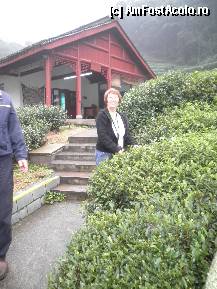 [P25] la fabrica de ceai,in apropiere de Hangzhou » foto by grecudoina
 - 
<span class="allrVoted glyphicon glyphicon-heart hidden" id="av309408"></span>
<a class="m-l-10 hidden" id="sv309408" onclick="voting_Foto_DelVot(,309408,3501)" role="button">șterge vot <span class="glyphicon glyphicon-remove"></span></a>
<a id="v9309408" class=" c-red"  onclick="voting_Foto_SetVot(309408)" role="button"><span class="glyphicon glyphicon-heart-empty"></span> <b>LIKE</b> = Votează poza</a> <img class="hidden"  id="f309408W9" src="/imagini/loader.gif" border="0" /><span class="AjErrMes hidden" id="e309408ErM"></span>