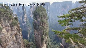 [P57] Hallelujah Mountain (Montana plutitoare din filmul Avatar) » foto by elenaadina
 - 
<span class="allrVoted glyphicon glyphicon-heart hidden" id="av1506546"></span>
<a class="m-l-10 hidden" id="sv1506546" onclick="voting_Foto_DelVot(,1506546,3501)" role="button">șterge vot <span class="glyphicon glyphicon-remove"></span></a>
<a id="v91506546" class=" c-red"  onclick="voting_Foto_SetVot(1506546)" role="button"><span class="glyphicon glyphicon-heart-empty"></span> <b>LIKE</b> = Votează poza</a> <img class="hidden"  id="f1506546W9" src="/imagini/loader.gif" border="0" /><span class="AjErrMes hidden" id="e1506546ErM"></span>