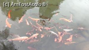 [P66]  -- <small>// FĂRĂ DESCRIERE</small> » foto by elenaadina
 - 
<span class="allrVoted glyphicon glyphicon-heart hidden" id="av1507112"></span>
<a class="m-l-10 hidden" id="sv1507112" onclick="voting_Foto_DelVot(,1507112,3501)" role="button">șterge vot <span class="glyphicon glyphicon-remove"></span></a>
<a id="v91507112" class=" c-red"  onclick="voting_Foto_SetVot(1507112)" role="button"><span class="glyphicon glyphicon-heart-empty"></span> <b>LIKE</b> = Votează poza</a> <img class="hidden"  id="f1507112W9" src="/imagini/loader.gif" border="0" /><span class="AjErrMes hidden" id="e1507112ErM"></span>