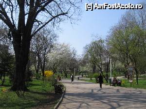 [P34] Parcul Floreasca la început de primăvară » foto by Michi
 - 
<span class="allrVoted glyphicon glyphicon-heart hidden" id="av502637"></span>
<a class="m-l-10 hidden" id="sv502637" onclick="voting_Foto_DelVot(,502637,3511)" role="button">șterge vot <span class="glyphicon glyphicon-remove"></span></a>
<a id="v9502637" class=" c-red"  onclick="voting_Foto_SetVot(502637)" role="button"><span class="glyphicon glyphicon-heart-empty"></span> <b>LIKE</b> = Votează poza</a> <img class="hidden"  id="f502637W9" src="/imagini/loader.gif" border="0" /><span class="AjErrMes hidden" id="e502637ErM"></span>