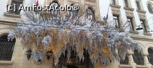 [P02] Intrare decorată cu ocazia sărbătorilor de iarnă. » foto by tata123 🔱
 - 
<span class="allrVoted glyphicon glyphicon-heart hidden" id="av1514011"></span>
<a class="m-l-10 hidden" id="sv1514011" onclick="voting_Foto_DelVot(,1514011,3511)" role="button">șterge vot <span class="glyphicon glyphicon-remove"></span></a>
<a id="v91514011" class=" c-red"  onclick="voting_Foto_SetVot(1514011)" role="button"><span class="glyphicon glyphicon-heart-empty"></span> <b>LIKE</b> = Votează poza</a> <img class="hidden"  id="f1514011W9" src="/imagini/loader.gif" border="0" /><span class="AjErrMes hidden" id="e1514011ErM"></span>