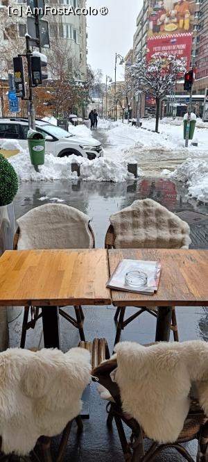 [P06] Calea Victoriei - Blana e la putere într-o asemenea zi :) » foto by tata123 🔱
 - 
<span class="allrVoted glyphicon glyphicon-heart hidden" id="av1518487"></span>
<a class="m-l-10 hidden" id="sv1518487" onclick="voting_Foto_DelVot(,1518487,3511)" role="button">șterge vot <span class="glyphicon glyphicon-remove"></span></a>
<a id="v91518487" class=" c-red"  onclick="voting_Foto_SetVot(1518487)" role="button"><span class="glyphicon glyphicon-heart-empty"></span> <b>LIKE</b> = Votează poza</a> <img class="hidden"  id="f1518487W9" src="/imagini/loader.gif" border="0" /><span class="AjErrMes hidden" id="e1518487ErM"></span>