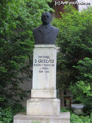 [P10] Bust dr. D. Grecescu - Grădina Botanică Bucureşti » foto by tata123 🔱
 - 
<span class="allrVoted glyphicon glyphicon-heart hidden" id="av509407"></span>
<a class="m-l-10 hidden" id="sv509407" onclick="voting_Foto_DelVot(,509407,3511)" role="button">șterge vot <span class="glyphicon glyphicon-remove"></span></a>
<a id="v9509407" class=" c-red"  onclick="voting_Foto_SetVot(509407)" role="button"><span class="glyphicon glyphicon-heart-empty"></span> <b>LIKE</b> = Votează poza</a> <img class="hidden"  id="f509407W9" src="/imagini/loader.gif" border="0" /><span class="AjErrMes hidden" id="e509407ErM"></span>