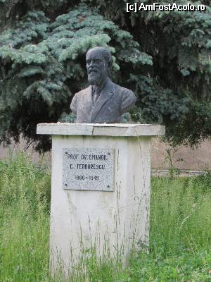 [P06] Bust prof. dr. Emanoil C. Teodorescu - Grădina Botanică Bucureşti » foto by tata123 🔱
 - 
<span class="allrVoted glyphicon glyphicon-heart hidden" id="av509395"></span>
<a class="m-l-10 hidden" id="sv509395" onclick="voting_Foto_DelVot(,509395,3511)" role="button">șterge vot <span class="glyphicon glyphicon-remove"></span></a>
<a id="v9509395" class=" c-red"  onclick="voting_Foto_SetVot(509395)" role="button"><span class="glyphicon glyphicon-heart-empty"></span> <b>LIKE</b> = Votează poza</a> <img class="hidden"  id="f509395W9" src="/imagini/loader.gif" border="0" /><span class="AjErrMes hidden" id="e509395ErM"></span>