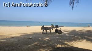 [P13] fel de fel de pe plajă » foto by robert
 - 
<span class="allrVoted glyphicon glyphicon-heart hidden" id="av1505546"></span>
<a class="m-l-10 hidden" id="sv1505546" onclick="voting_Foto_DelVot(,1505546,3514)" role="button">șterge vot <span class="glyphicon glyphicon-remove"></span></a>
<a id="v91505546" class=" c-red"  onclick="voting_Foto_SetVot(1505546)" role="button"><span class="glyphicon glyphicon-heart-empty"></span> <b>LIKE</b> = Votează poza</a> <img class="hidden"  id="f1505546W9" src="/imagini/loader.gif" border="0" /><span class="AjErrMes hidden" id="e1505546ErM"></span>
