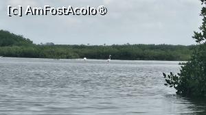 [P13] vedere din deltă » foto by robert
 - 
<span class="allrVoted glyphicon glyphicon-heart hidden" id="av1511280"></span>
<a class="m-l-10 hidden" id="sv1511280" onclick="voting_Foto_DelVot(,1511280,3514)" role="button">șterge vot <span class="glyphicon glyphicon-remove"></span></a>
<a id="v91511280" class=" c-red"  onclick="voting_Foto_SetVot(1511280)" role="button"><span class="glyphicon glyphicon-heart-empty"></span> <b>LIKE</b> = Votează poza</a> <img class="hidden"  id="f1511280W9" src="/imagini/loader.gif" border="0" /><span class="AjErrMes hidden" id="e1511280ErM"></span>