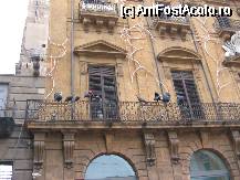 [P16] Palermo-casa cu cocostarci. » foto by Michi
 - 
<span class="allrVoted glyphicon glyphicon-heart hidden" id="av66369"></span>
<a class="m-l-10 hidden" id="sv66369" onclick="voting_Foto_DelVot(,66369,3527)" role="button">șterge vot <span class="glyphicon glyphicon-remove"></span></a>
<a id="v966369" class=" c-red"  onclick="voting_Foto_SetVot(66369)" role="button"><span class="glyphicon glyphicon-heart-empty"></span> <b>LIKE</b> = Votează poza</a> <img class="hidden"  id="f66369W9" src="/imagini/loader.gif" border="0" /><span class="AjErrMes hidden" id="e66369ErM"></span>