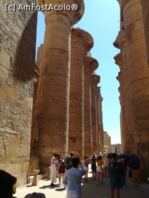 [P12] Karnak Temple - Luxor » foto by TinaP
 - 
<span class="allrVoted glyphicon glyphicon-heart hidden" id="av1107627"></span>
<a class="m-l-10 hidden" id="sv1107627" onclick="voting_Foto_DelVot(,1107627,3529)" role="button">șterge vot <span class="glyphicon glyphicon-remove"></span></a>
<a id="v91107627" class=" c-red"  onclick="voting_Foto_SetVot(1107627)" role="button"><span class="glyphicon glyphicon-heart-empty"></span> <b>LIKE</b> = Votează poza</a> <img class="hidden"  id="f1107627W9" src="/imagini/loader.gif" border="0" /><span class="AjErrMes hidden" id="e1107627ErM"></span>