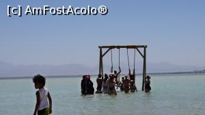 [P17] leagăn » foto by vivi2002
 - 
<span class="allrVoted glyphicon glyphicon-heart hidden" id="av1230539"></span>
<a class="m-l-10 hidden" id="sv1230539" onclick="voting_Foto_DelVot(,1230539,3529)" role="button">șterge vot <span class="glyphicon glyphicon-remove"></span></a>
<a id="v91230539" class=" c-red"  onclick="voting_Foto_SetVot(1230539)" role="button"><span class="glyphicon glyphicon-heart-empty"></span> <b>LIKE</b> = Votează poza</a> <img class="hidden"  id="f1230539W9" src="/imagini/loader.gif" border="0" /><span class="AjErrMes hidden" id="e1230539ErM"></span>