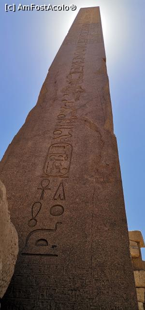 [P06] Templul lui Karnak » foto by Angi2021
 - 
<span class="allrVoted glyphicon glyphicon-heart hidden" id="av1242252"></span>
<a class="m-l-10 hidden" id="sv1242252" onclick="voting_Foto_DelVot(,1242252,3529)" role="button">șterge vot <span class="glyphicon glyphicon-remove"></span></a>
<a id="v91242252" class=" c-red"  onclick="voting_Foto_SetVot(1242252)" role="button"><span class="glyphicon glyphicon-heart-empty"></span> <b>LIKE</b> = Votează poza</a> <img class="hidden"  id="f1242252W9" src="/imagini/loader.gif" border="0" /><span class="AjErrMes hidden" id="e1242252ErM"></span>