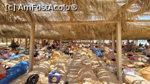 [P14] Superba plajă de la Orange Bay » foto by vlado2
 - 
<span class="allrVoted glyphicon glyphicon-heart hidden" id="av1523255"></span>
<a class="m-l-10 hidden" id="sv1523255" onclick="voting_Foto_DelVot(,1523255,3529)" role="button">șterge vot <span class="glyphicon glyphicon-remove"></span></a>
<a id="v91523255" class=" c-red"  onclick="voting_Foto_SetVot(1523255)" role="button"><span class="glyphicon glyphicon-heart-empty"></span> <b>LIKE</b> = Votează poza</a> <img class="hidden"  id="f1523255W9" src="/imagini/loader.gif" border="0" /><span class="AjErrMes hidden" id="e1523255ErM"></span>